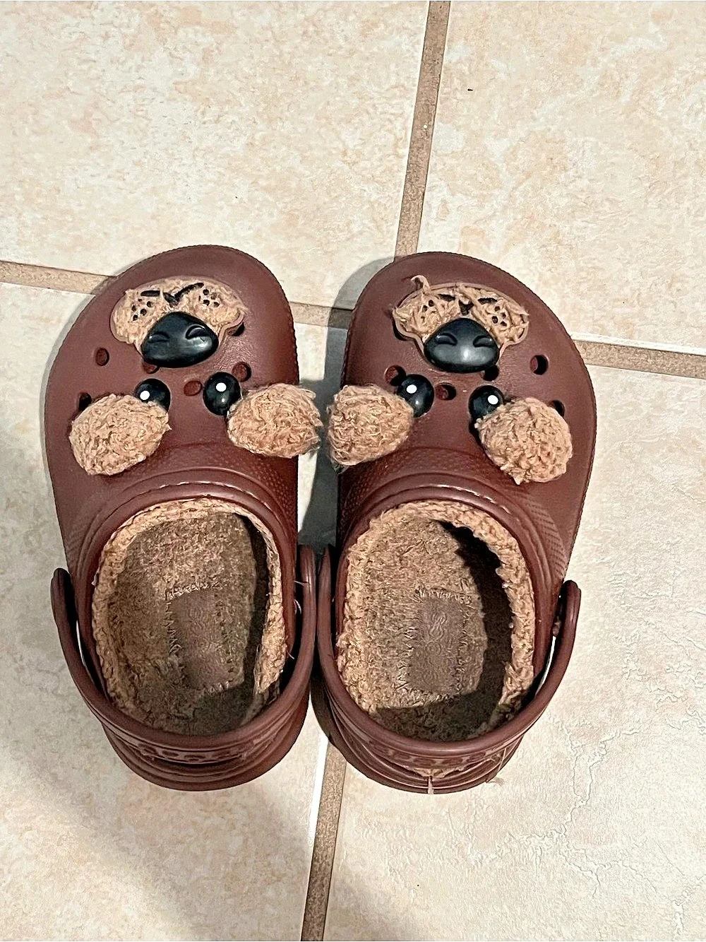 Crocs Classic Clog Brown Character Clogs